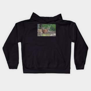 Cougars Kids Hoodie